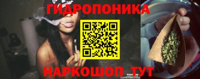 гидропоника Заволжье